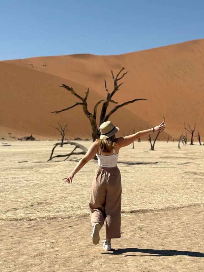 Namibia 2k25 🦓🏜️🐘