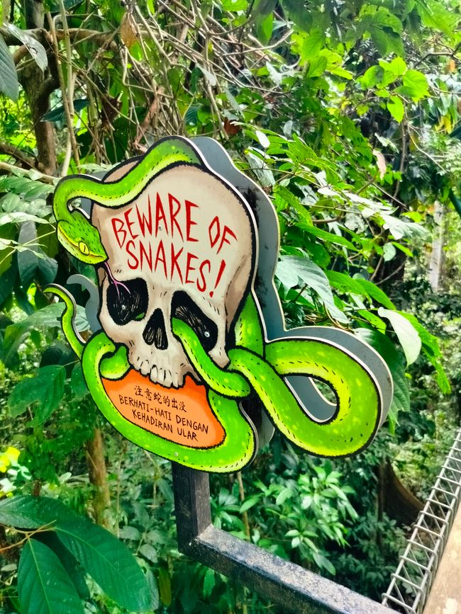 Sepilok - Sanctuaire des Orang-outans et des ours de soleil