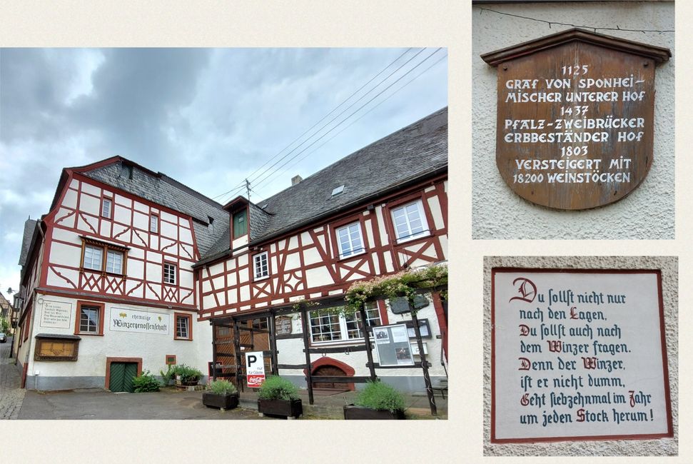 Tour Mosel Maggio 2025