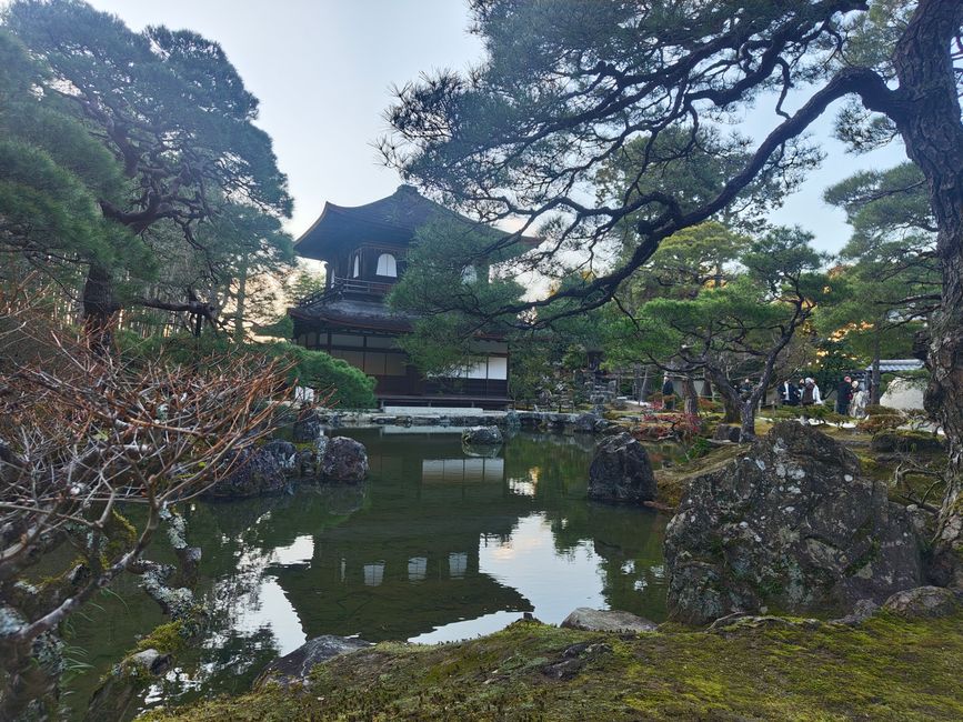 Visite des temples à Kyoto