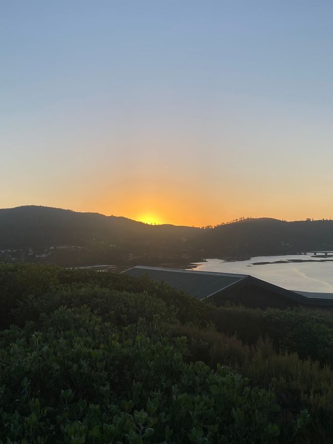 Knysna