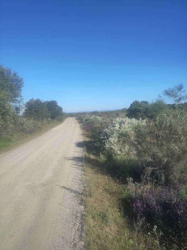 und immer weiter auf der Via de la Plata...