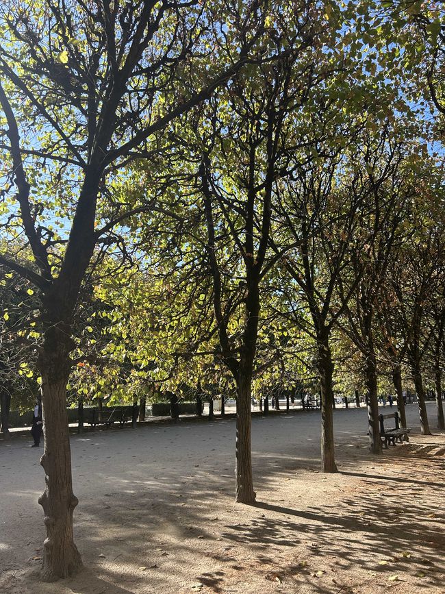 Jardin du Palais Royal