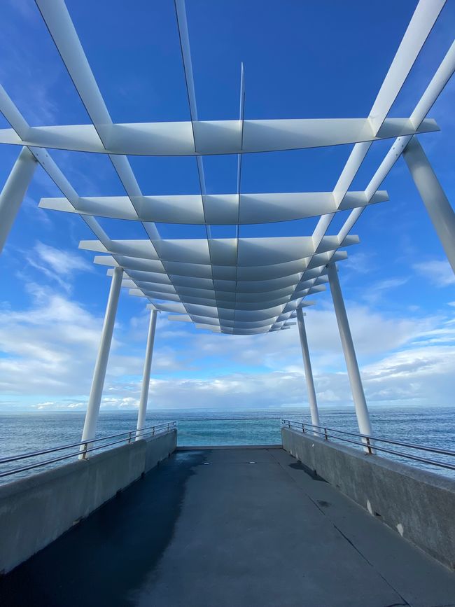 Napier Marine Parade Aussichtsplattform