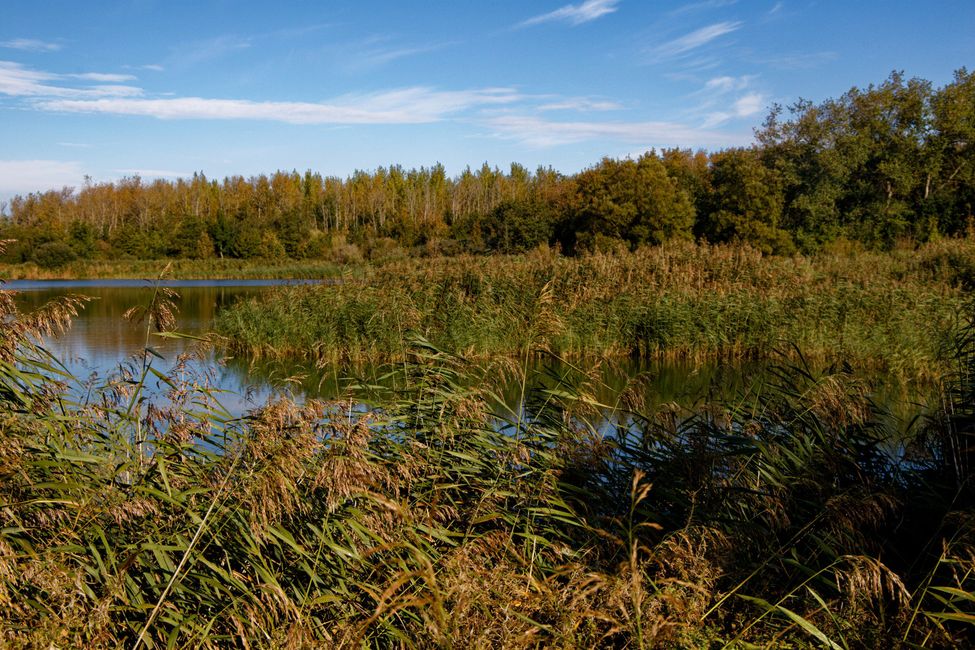 Rugged nature in open landscape
