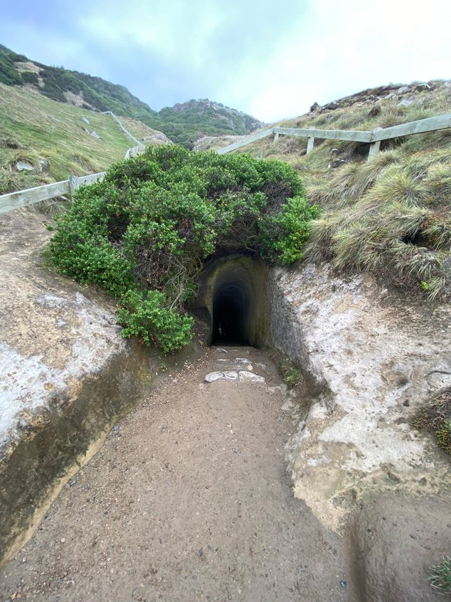 Tunnel Beach - Eingang 