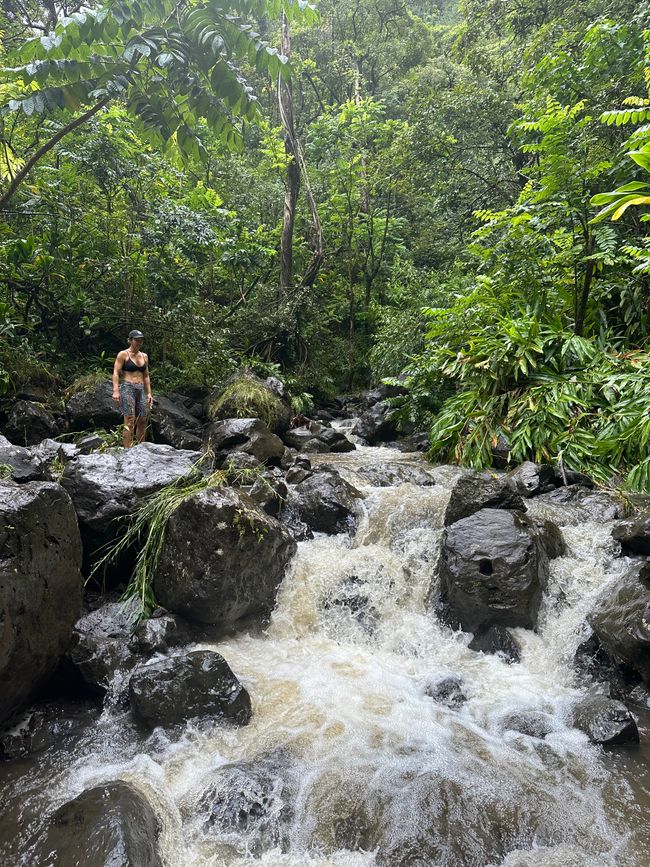 Hawaii Part 1: Maui