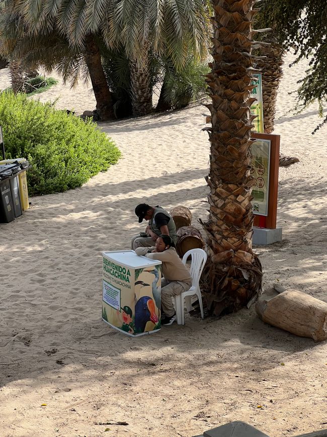 Gli altri sentieri erano bloccati da questa catena sulla sabbia del deserto 🤣🤣