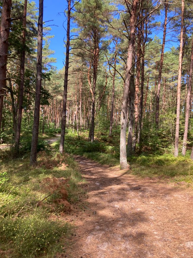 Friede, Freude, Eierkuchen … Karlshagen Usedom