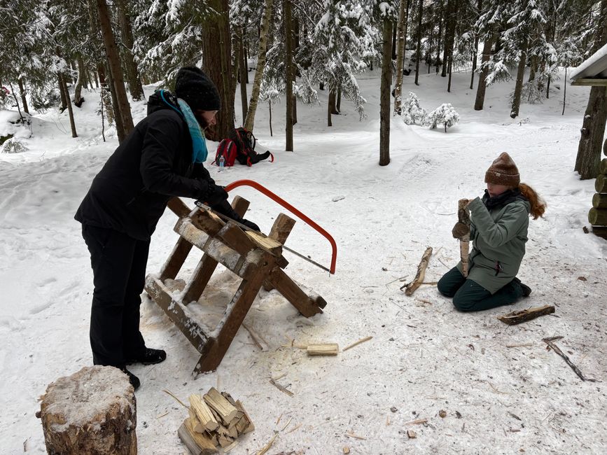 The finnish way