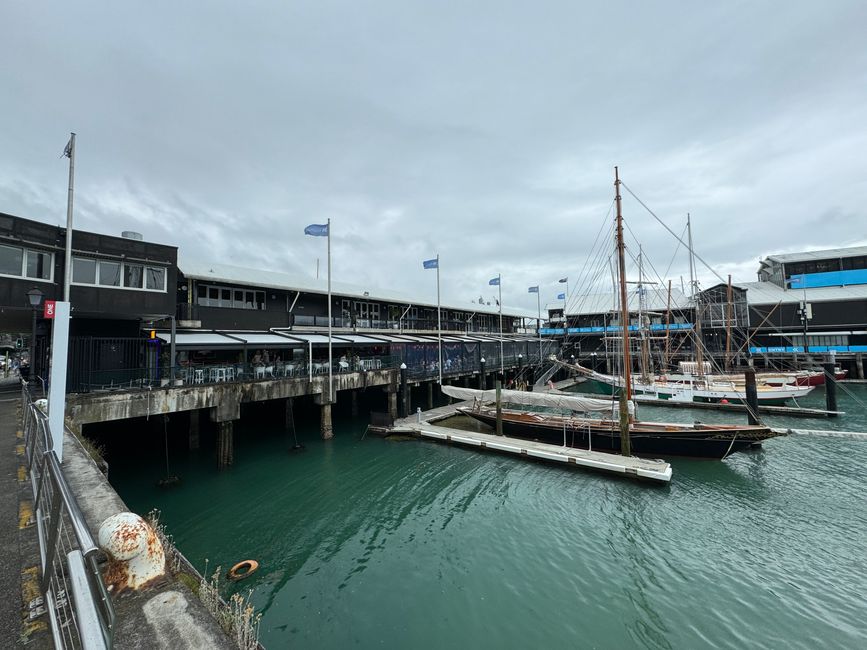 Port in Auckland