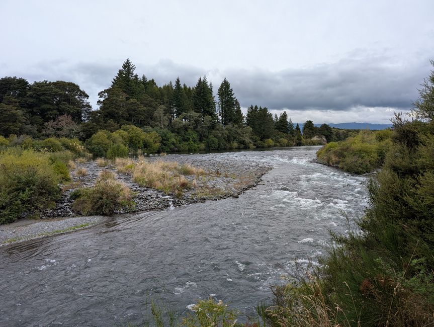 Turangi