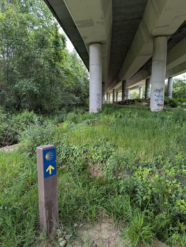 Bilanz auf der Passstraße (Camino Portugues 5)