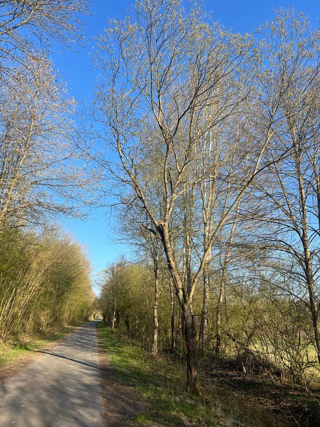 06 verso Northeim