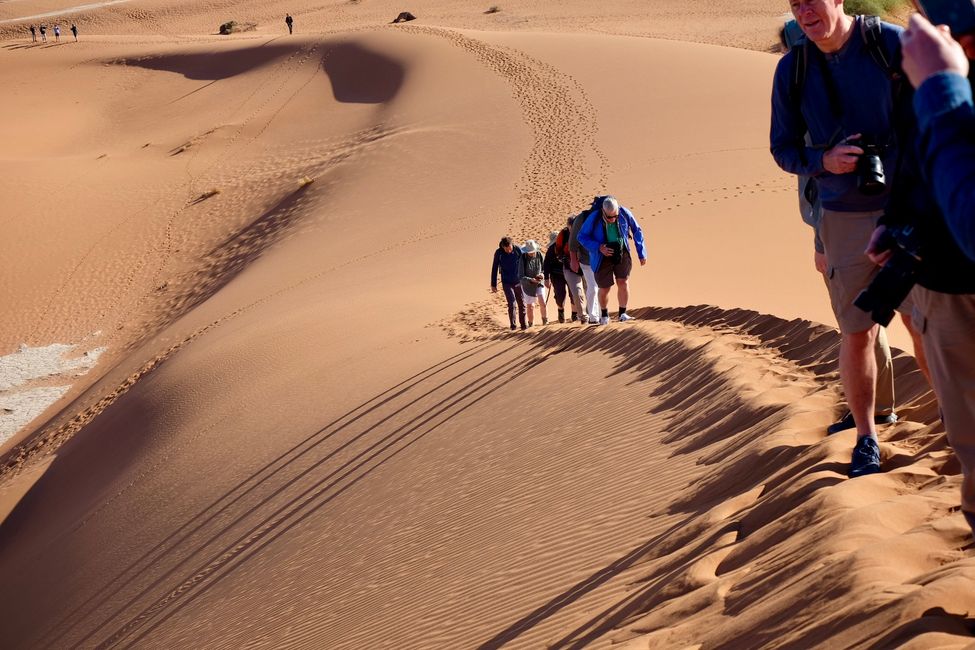 Dünenbesteigung in Namib Wüste