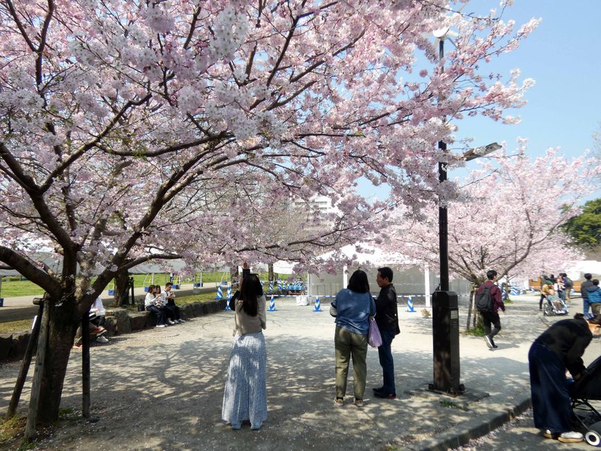Sumpu Castle Park