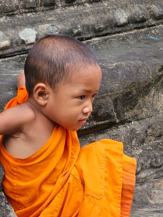 Alles kommt anders... - oder: Die Tempelanlagen von Angkor