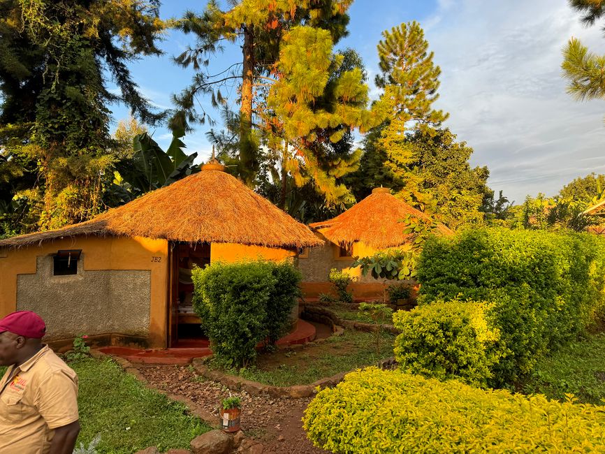 Jardín de rocas y cascadas