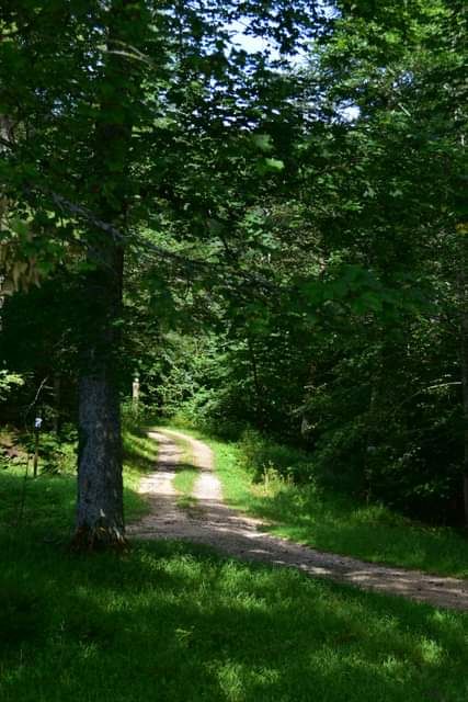 * * * Hayedo de enebro y cara de roca: una caminata en la belleza salvaje del Lochenpass * * *