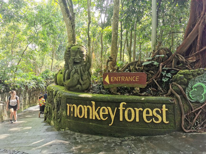 Entrada al bosque de los monos en Ubud (ahora necesitaba mucha creatividad para encontrar este pie de foto ;-))