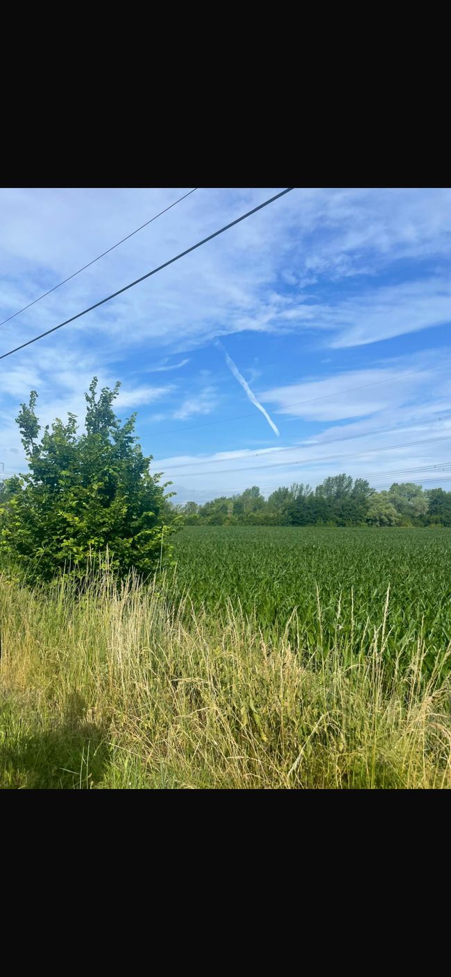 1. Tag - Geiseltalsee 