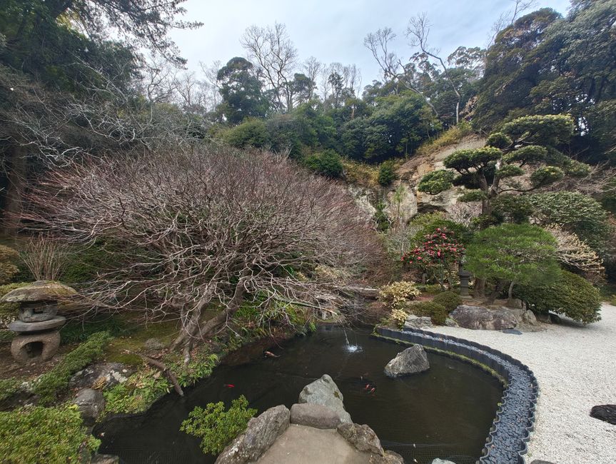 Kamakura - unser letzter Tagesausflug