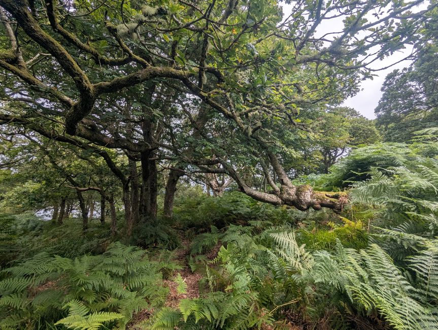 Lac Lomond