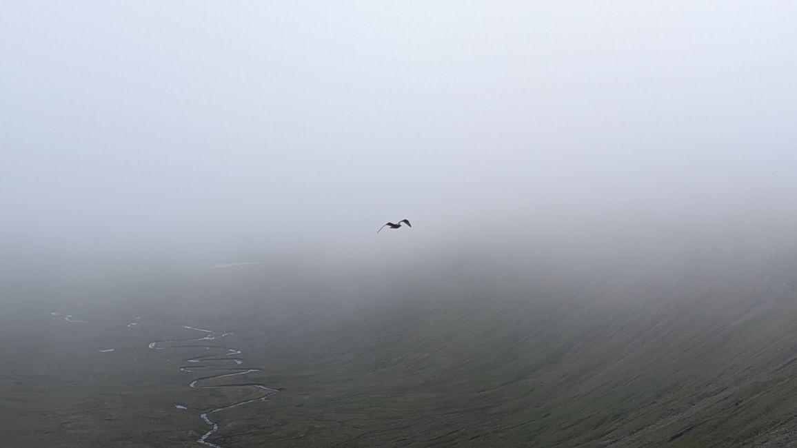 Noch eine Wanderung
