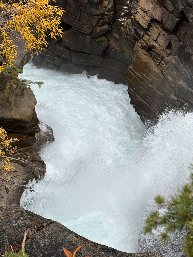 Tag 12 - 🏔️ Wasserfälle, Wetterkapriolen & Wellness – ein (fast) perfekter Tag in Jasper