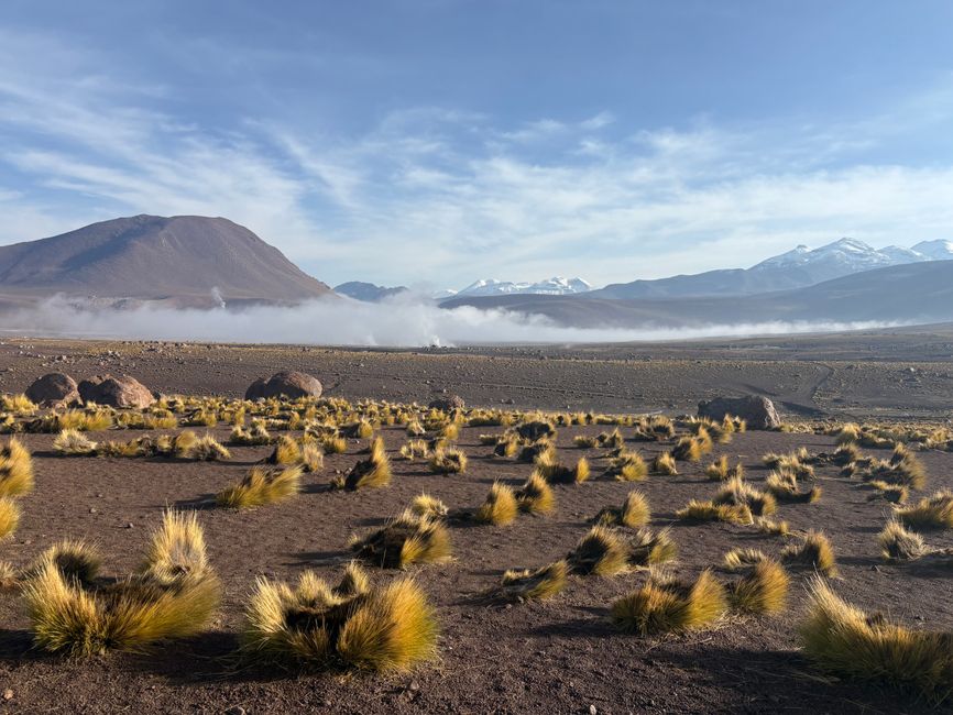 Geyser Tatio