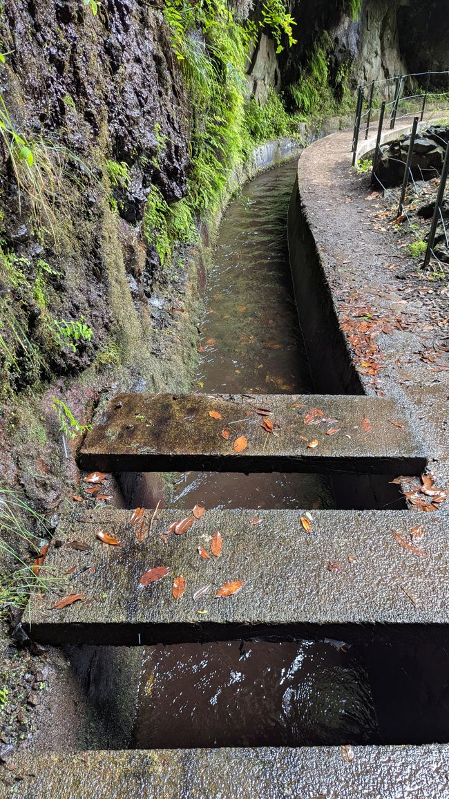 Tag 13: Levada da Ribeira da Janela & Nordwestküste