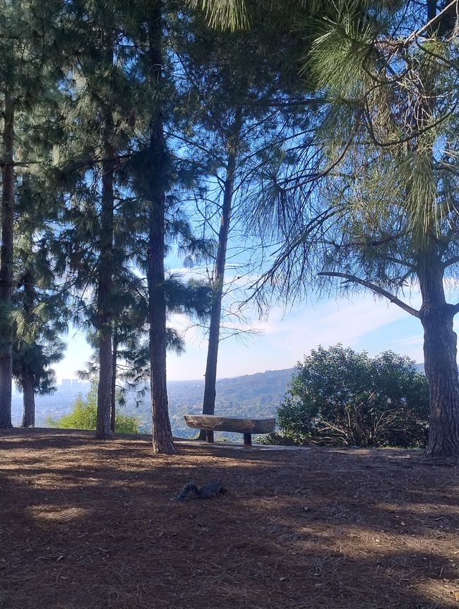 Wanderweg in den Hollywood Hills