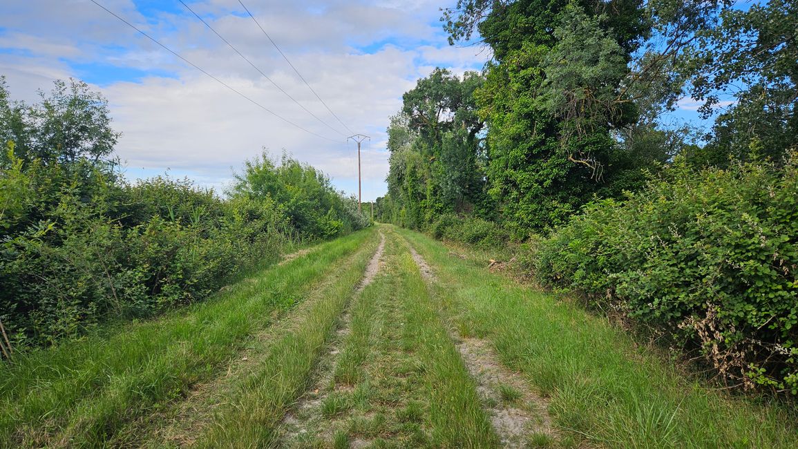 EV 8 