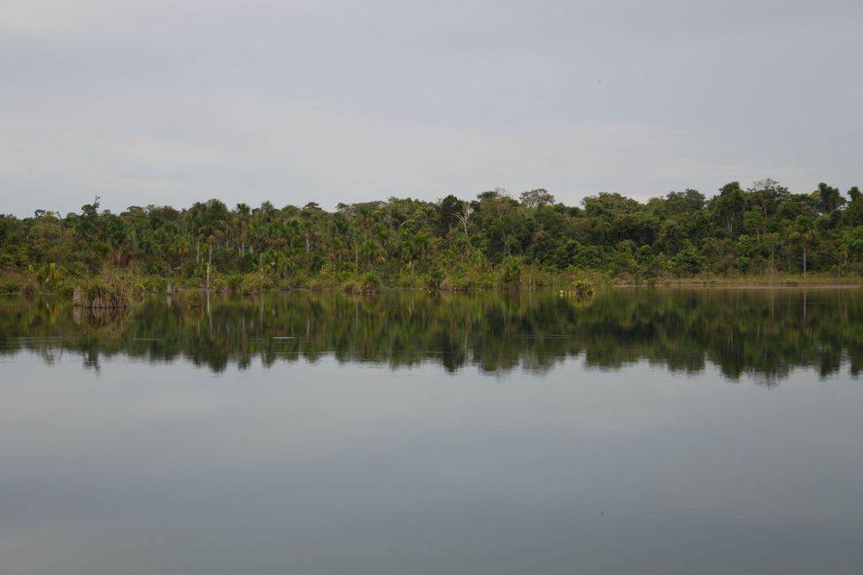 Navegando en canoa por el sur del Amazonas