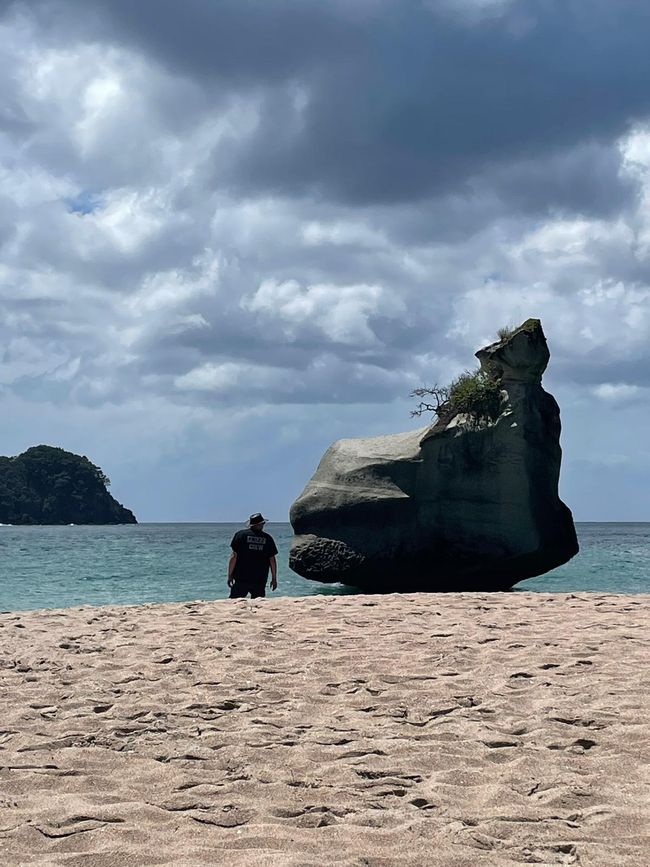 There are places that you absolutely have to see: Cathedral Cove in Hahei