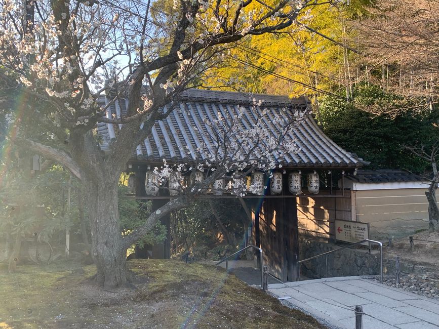 Kyoto