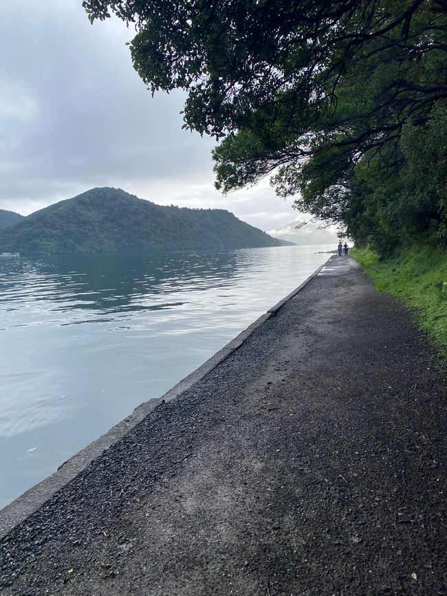 Off to the North Island