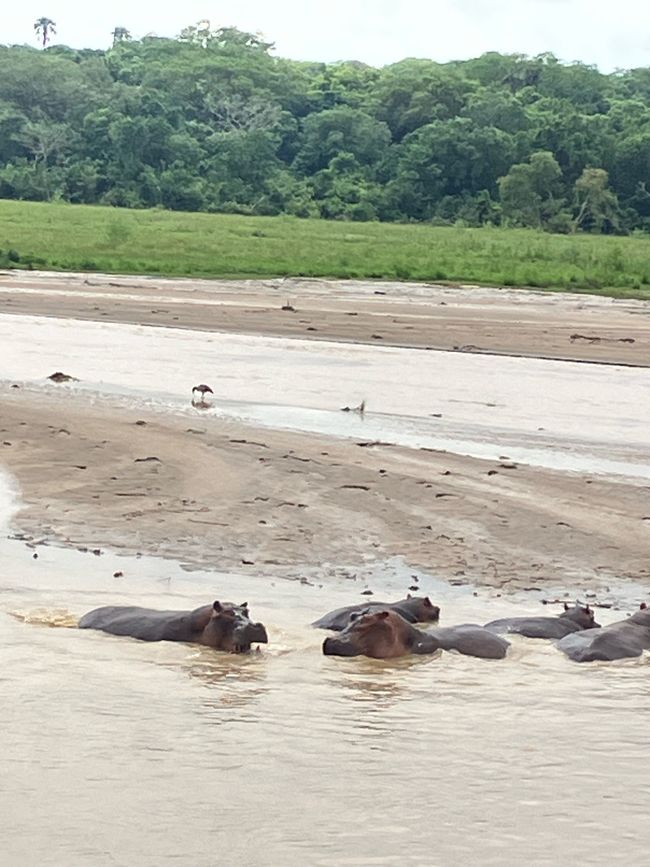 Nationalpark Murchison Falls