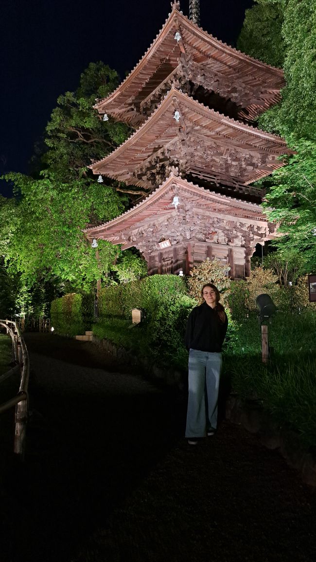 Beautiful Tokyo