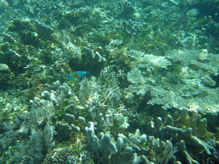 Waiag, Raja Ampat, Indonesia