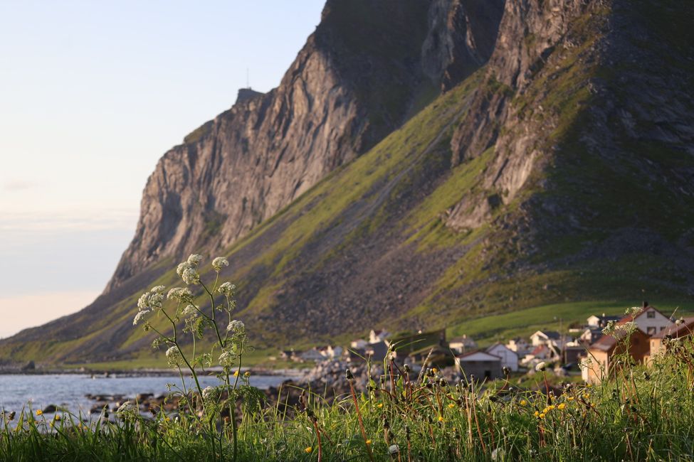 LOFOTEN - Che mondo meraviglioso?