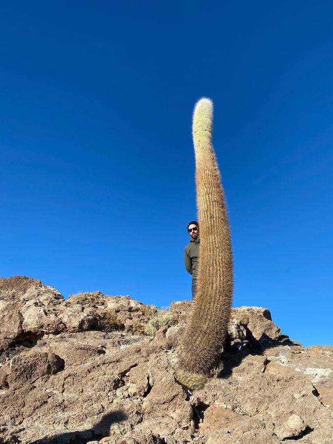 Salar de Uyuni