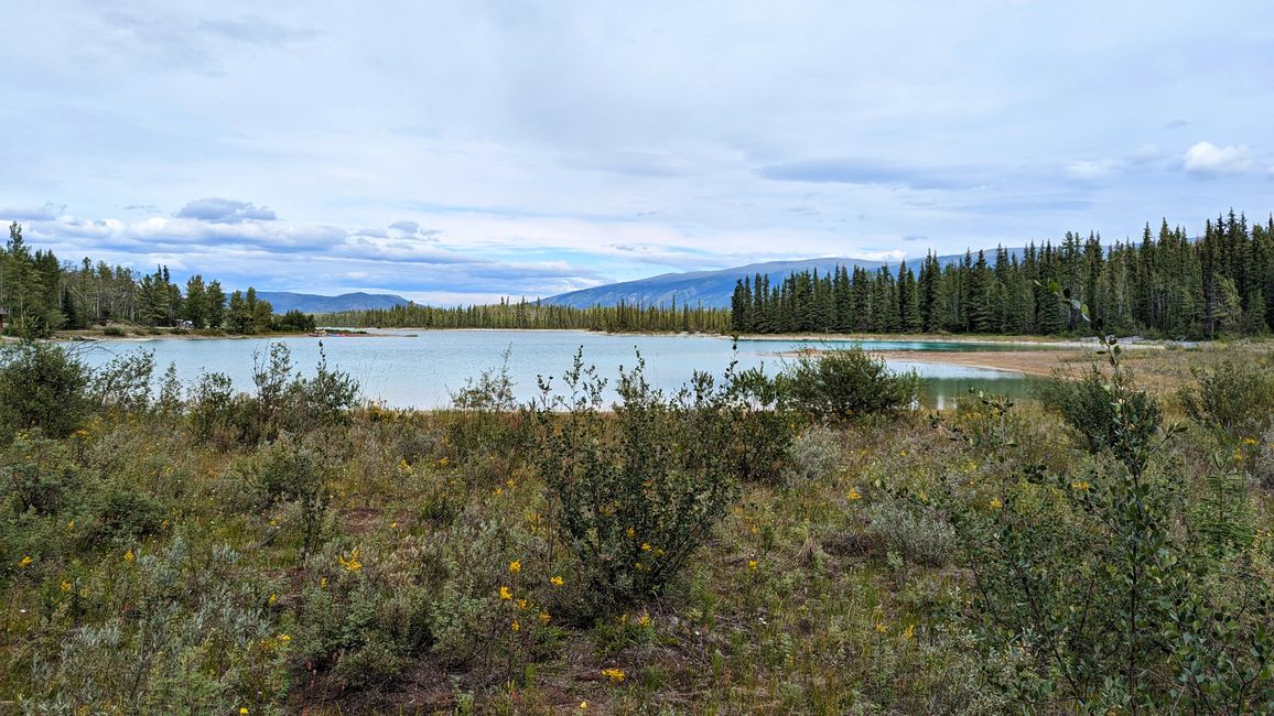 Beaver dam at Boya Lake