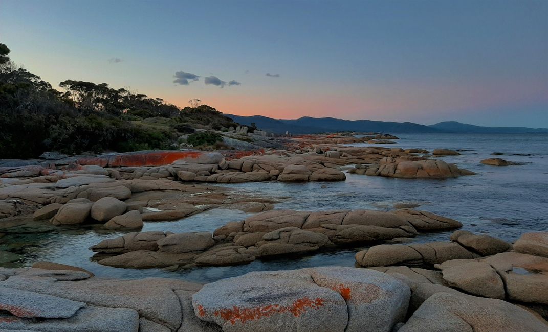 - Singapur & Tasmania 2019 -