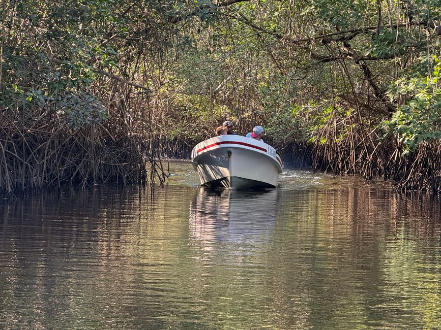 BLOG 20: Nicaragua - Costa del Pacífico y Bosque de Manglares