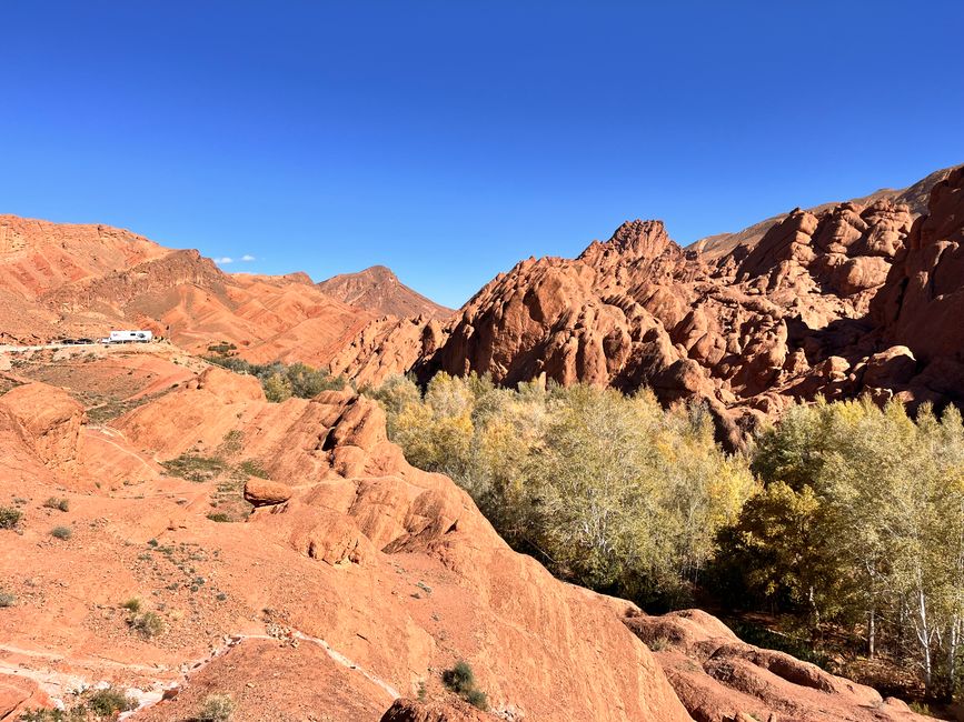 The distinctly shaped 'Monkey Finger' rocks in the background