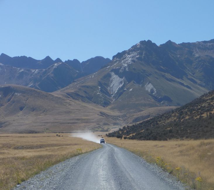 2025-02-19 Fjordland; NZL