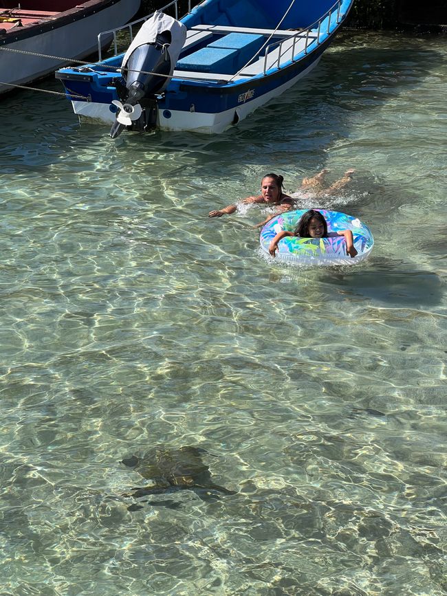 … die Schidköten schwimmen zwischen den Fischerbooten und den Badenden herum …