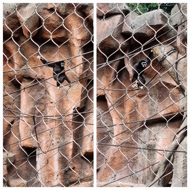 Tag drei: Zoo Aurora und Stadtteil Cayala