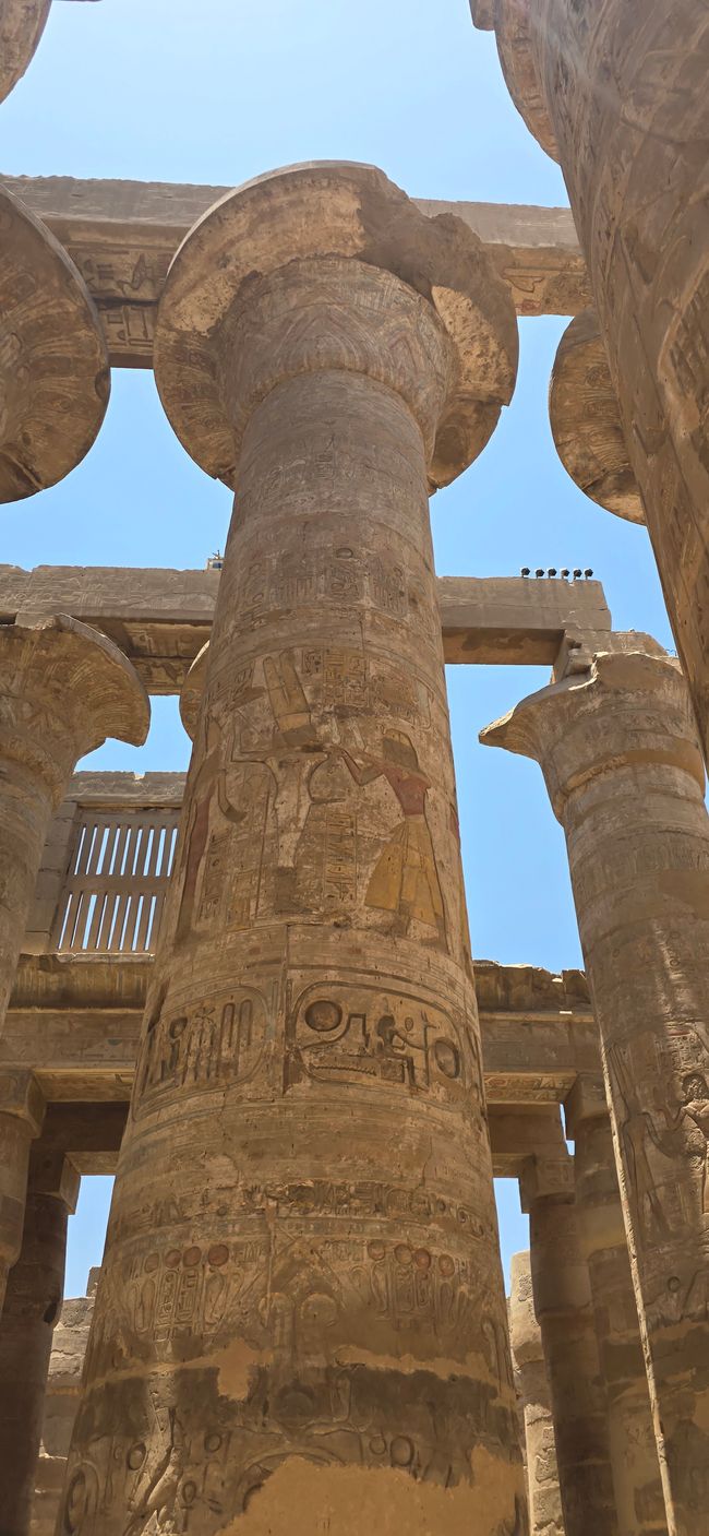 Zwischen Urlaub und Nebenwirkungen- Ägypten hautnah